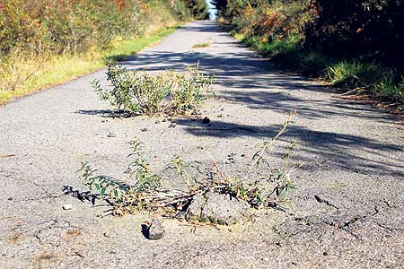 Spremberger Radweg wird repariert