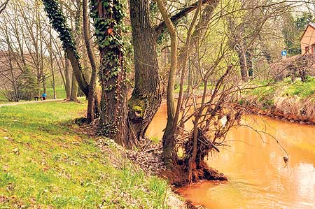 Klare Ziele für eine klare Spree nötig