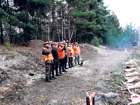 Damit der Wald wachsen kann