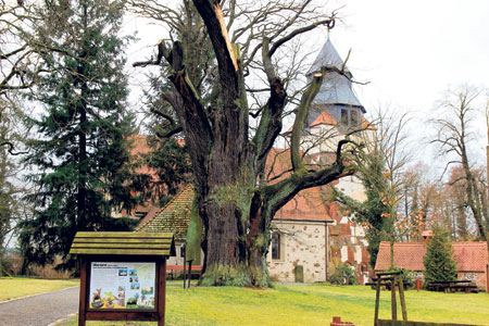 Spremberg: Hornow-Wadelsdorf ist mehr als süß