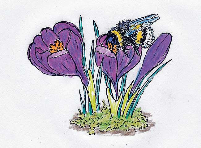 Auf in den Frühling!