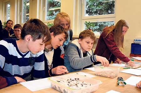 Schülerprojekt in Lauchhammer: Mit Mosaiken fürs Leben lernen