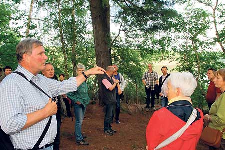 Warum der Luisensee schaurig ist