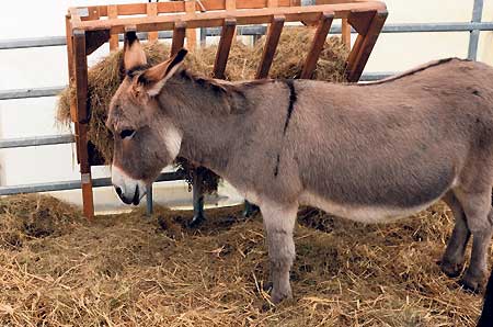 Drochow: Landgasthof mit viel Raum für Feste