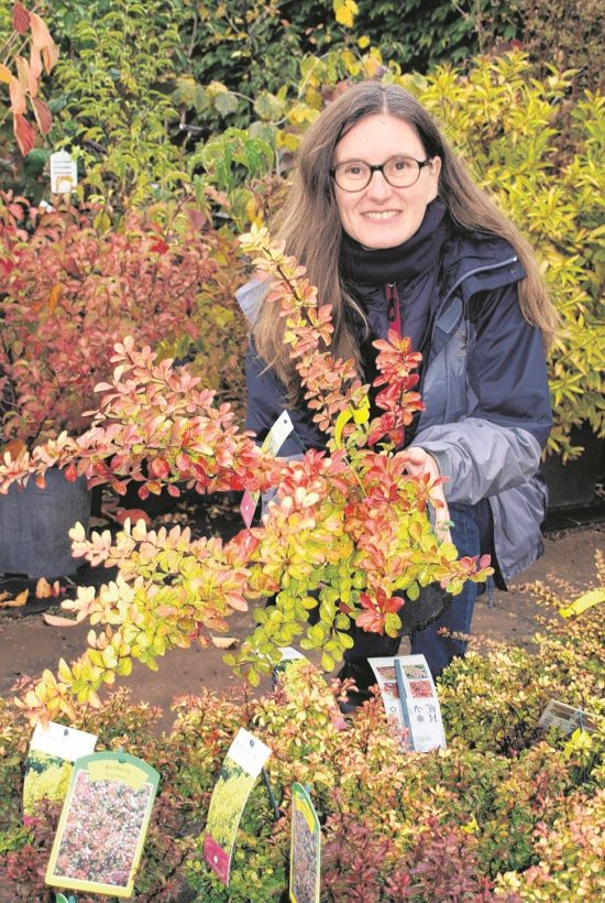 Groß Gaglower Baumschule lädt am 22.10. zum Herbst-Winter-Aktionstag