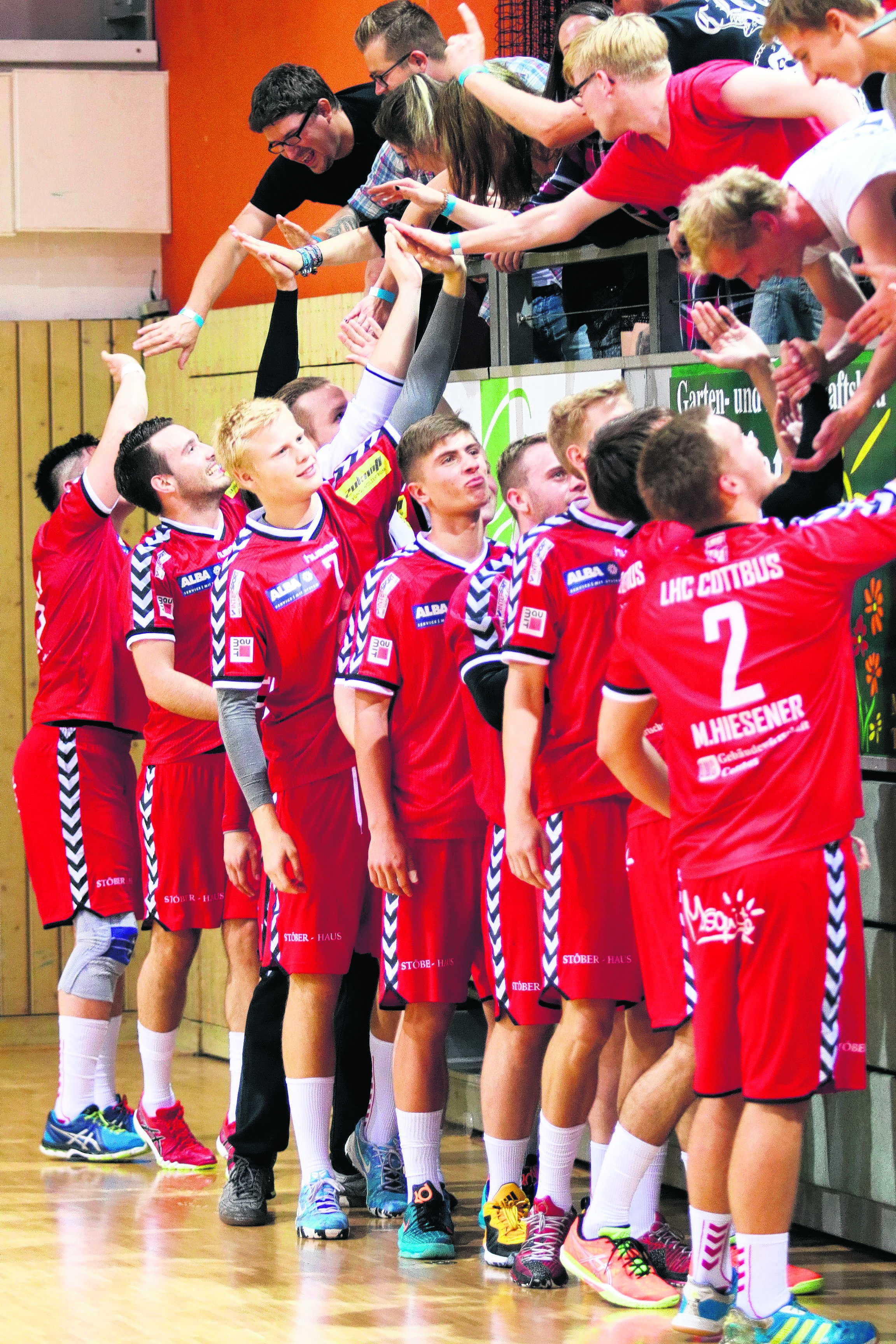 Handballer in der Erfolgsspur