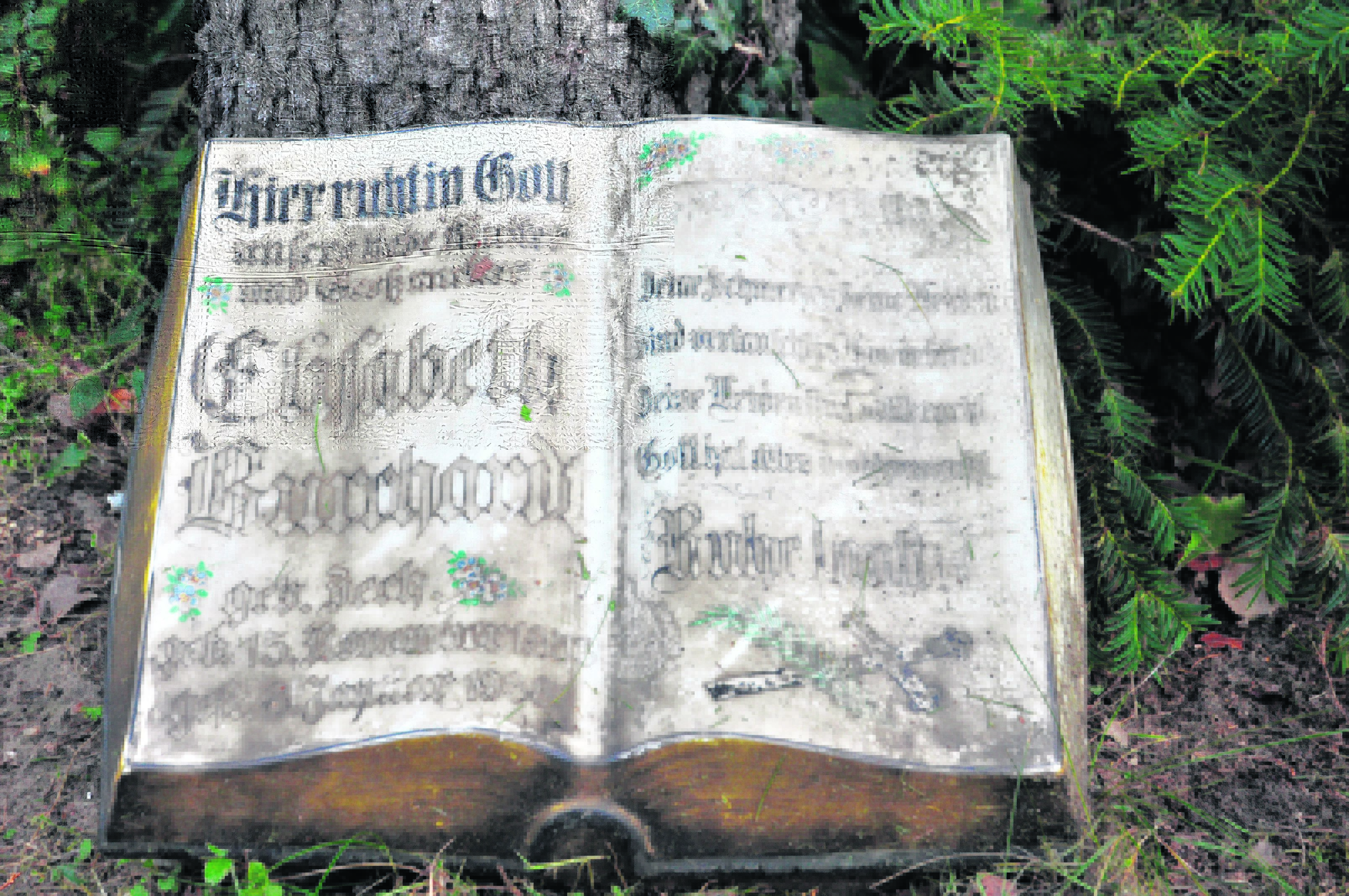 Den Bestatter persönlich sehen