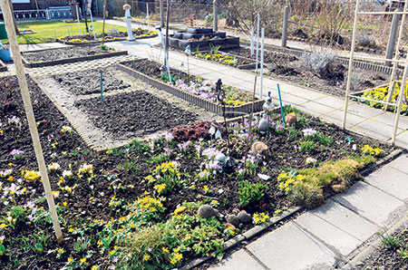 Frühlingsstimmung im Blumen-Beet