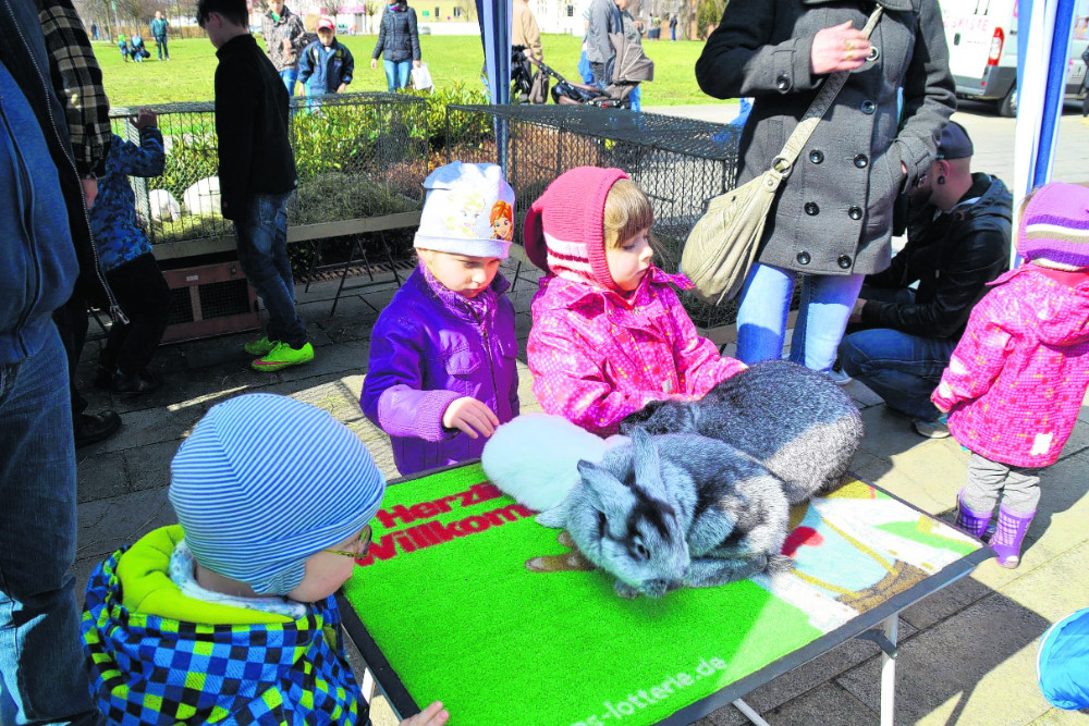 Osterhase kommt in die Gubener Altstadt