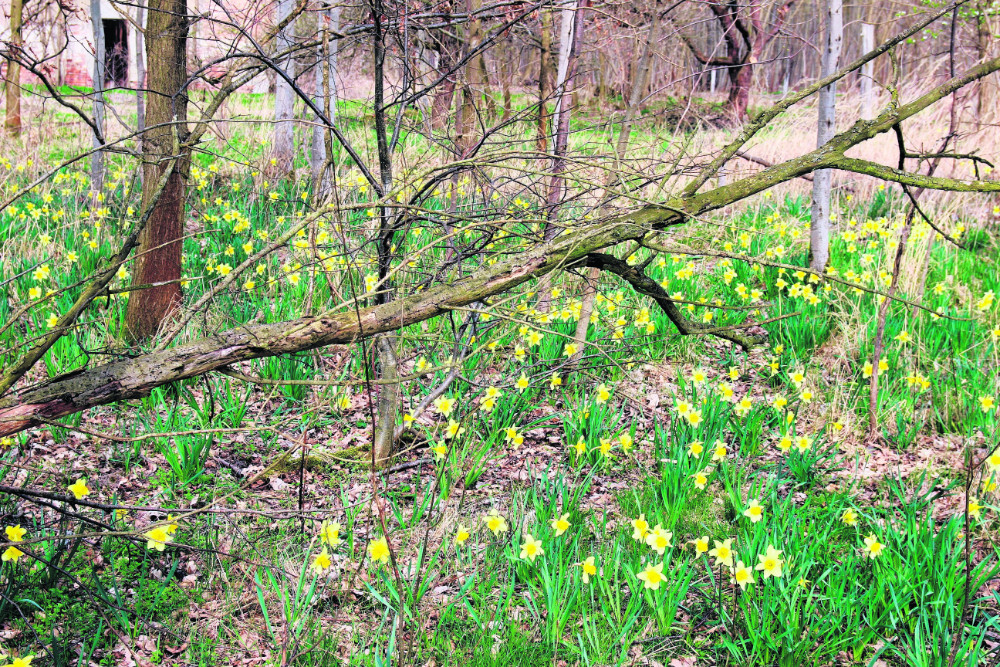 Eiermarkt im Schloss