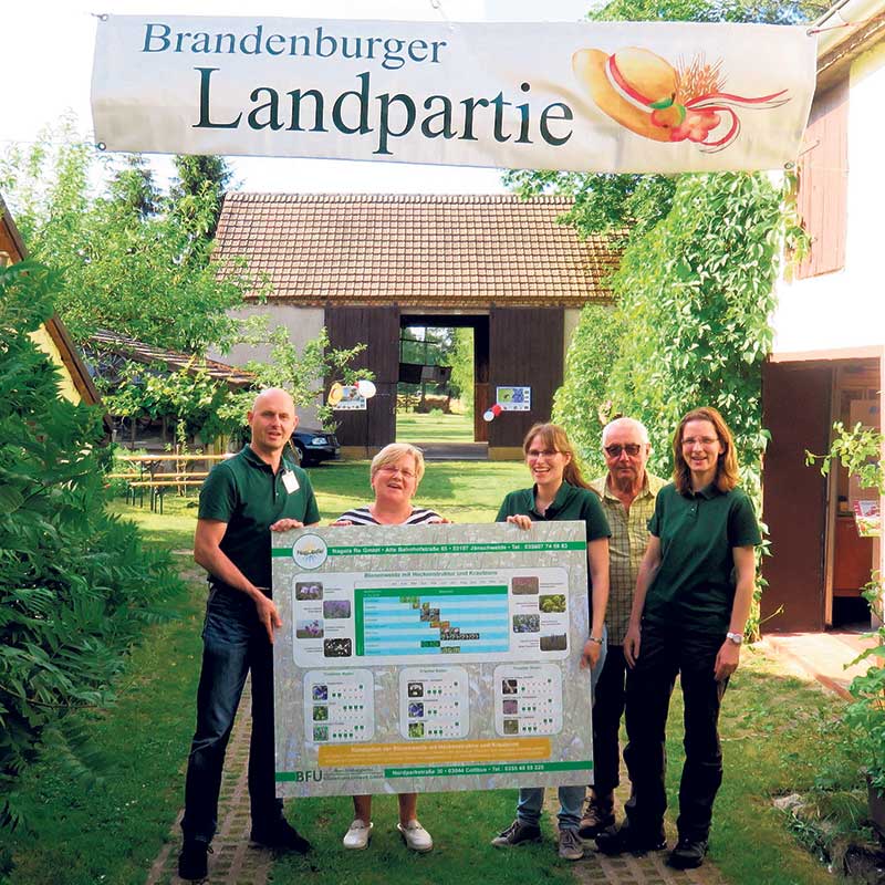 Die Cottbuser Bienen brauchen viele Pflanzen mit reichlich Nektar und Pollen