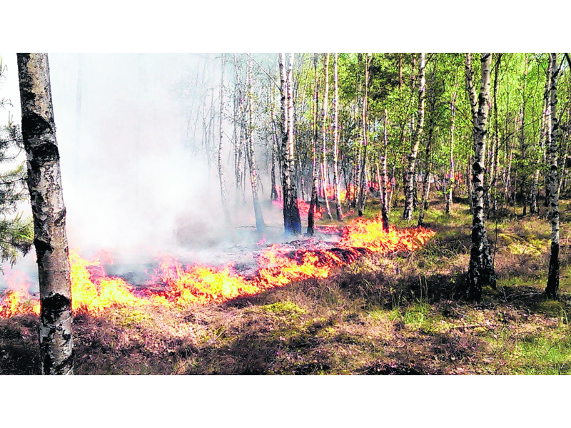 Lieberoser Heide: Gewitter verhindert totale Katastrophe