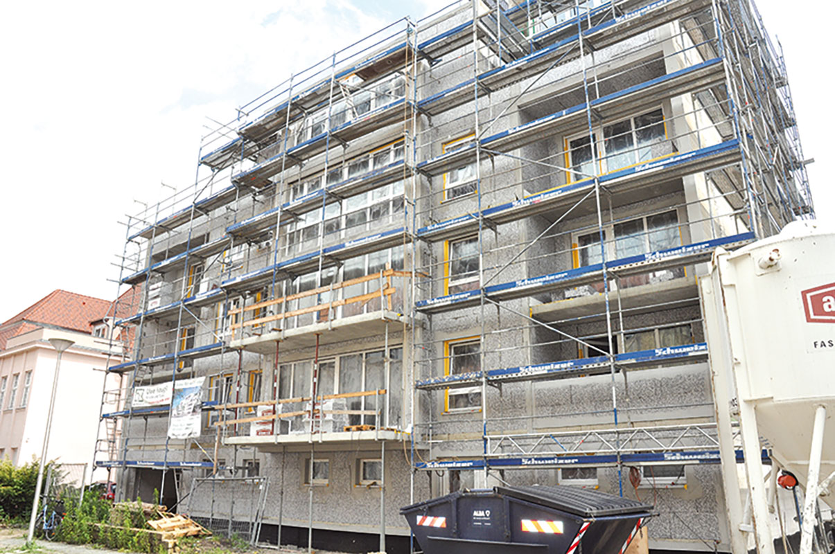 Ein Baum auf der cottbuser Dachterrasse