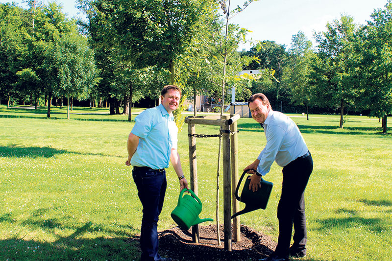 Lauchhammer: Luthereiche wächst im Schlosspark