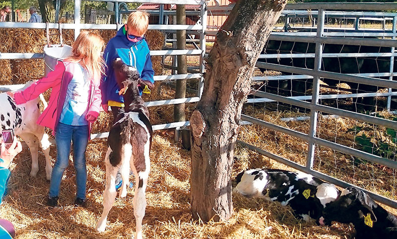 Geburtstag in Neu Sacro