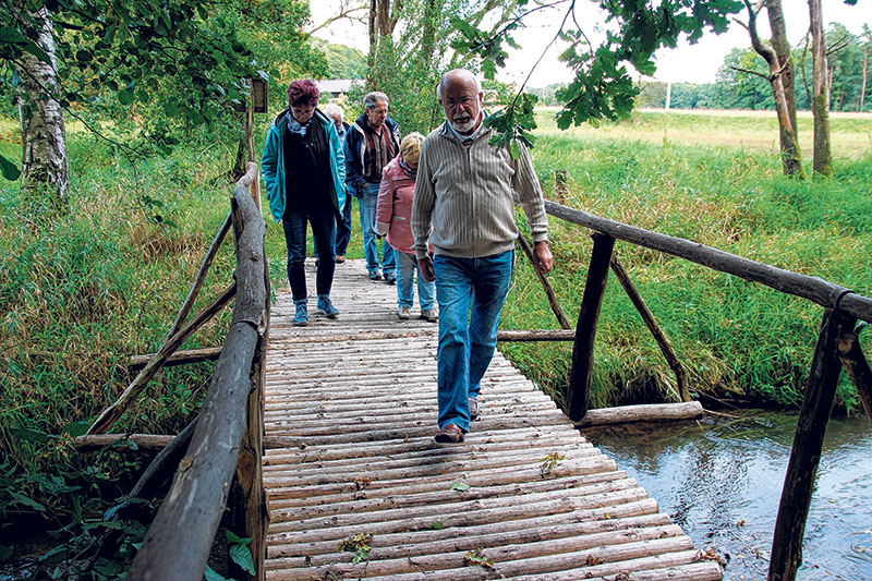 Döbern/Pusack: Märchenwald-Weg wird noch attraktiver