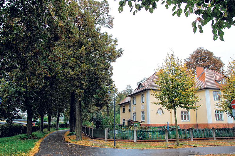 Marga-Bäume haben sehr große Schäden