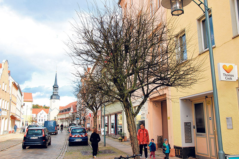 Käfer quälen Spremberger Rotdorne