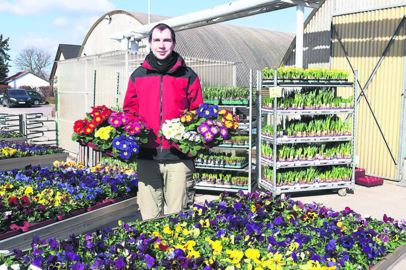 Bei Floralia beginnt es zu blühen