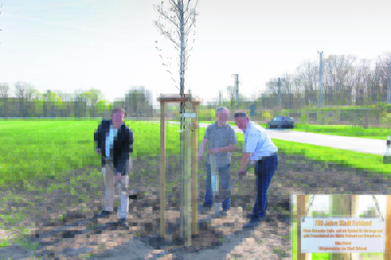 Luthereiche verbindet Ruhland und Ortrand