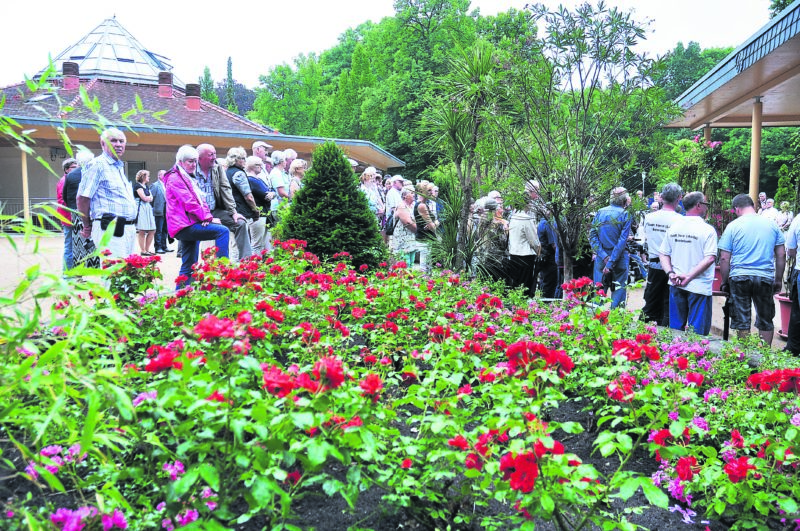 Forst: Im Rosengarten ist Saisoneröffnung