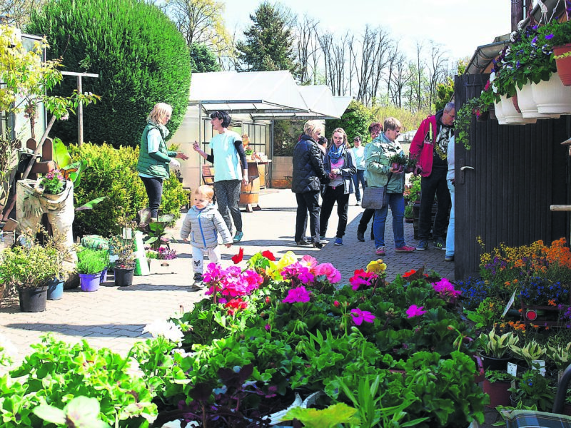 Spremberg: Gartenfreunde starten durch