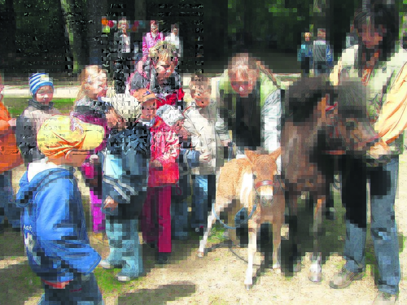 Der Cottbuser Tierpark lockt am 1. Juni