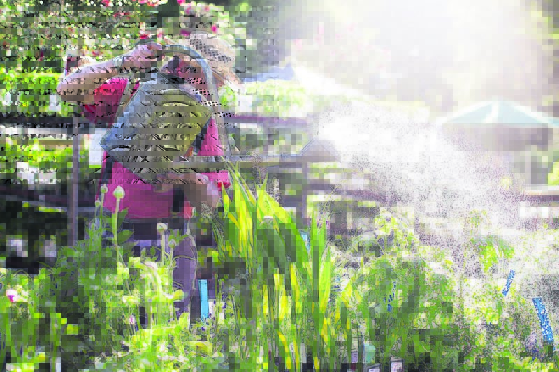 In 2 Wochen im Garten der Wunder