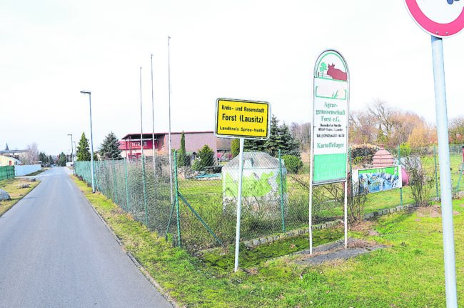 Forster Unternehmen öffnen Samstag im Gewerbegebiet ihren Türen