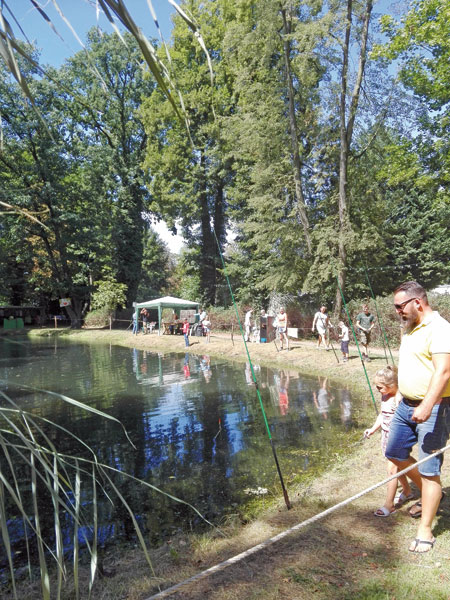 Gegrillter Fisch als ideale Grillergänzung – Peitzer Karpfenwochen beginnen am 21. 09.18