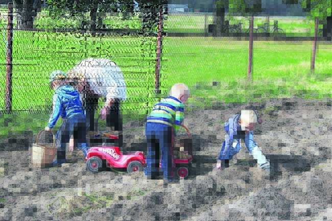 Terpe in Feierstimmung am 22. und 29.9.18