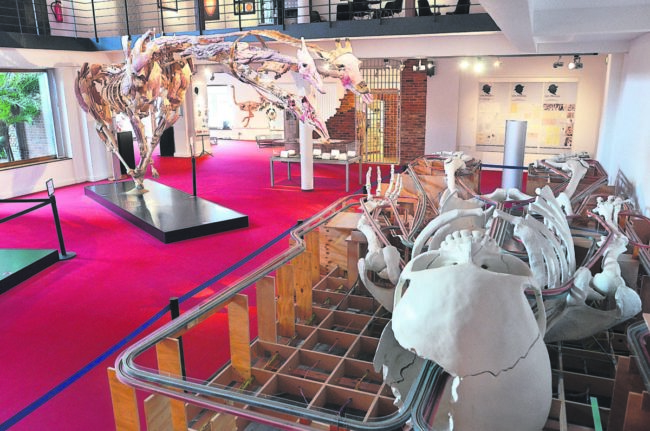 Plastinarium Lehrwerkstatt 27 e1547199744674