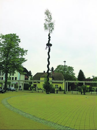 Burg Maibaum