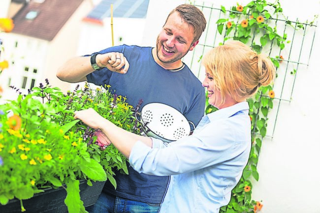 Der Balkon wird zur Gartenoase