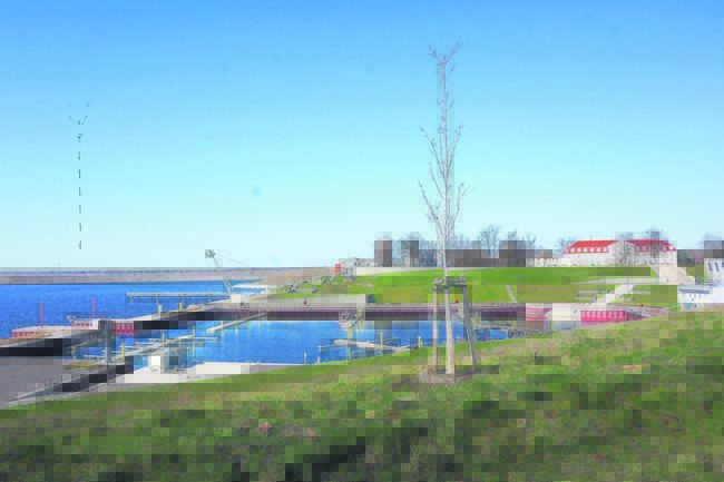 Großräschen sticht in See an diesem Wochenende