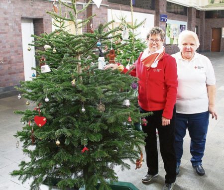 Weihnachtsbaum Senftenberg