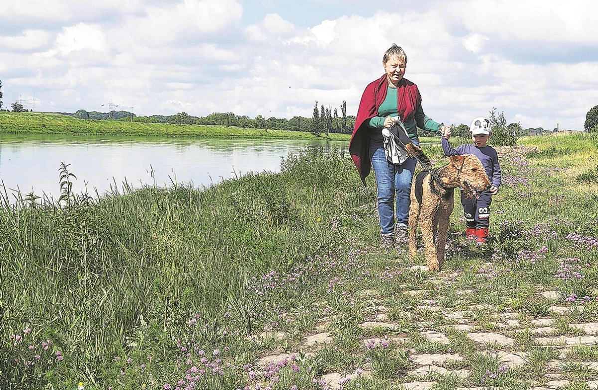 Die Elbe: Von Meißen zur Elster