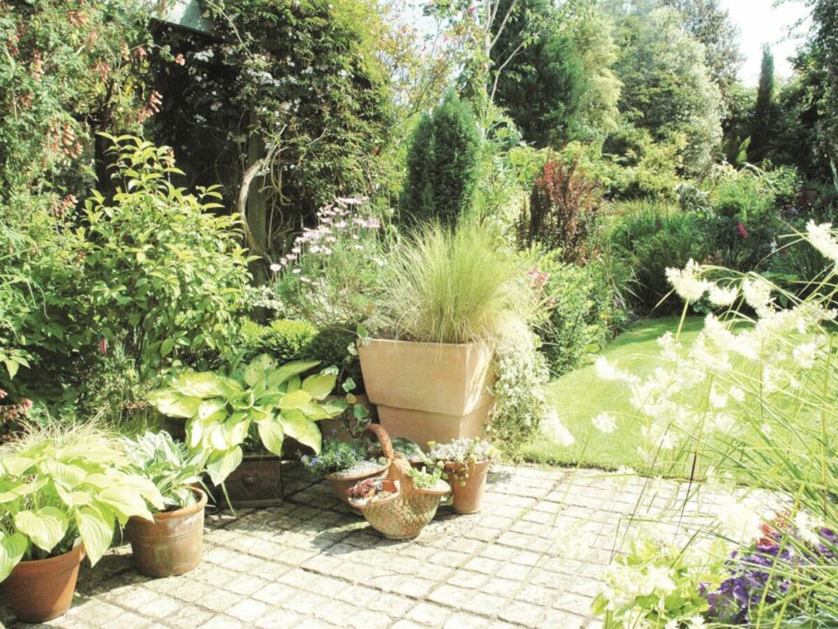 Bltenzauber