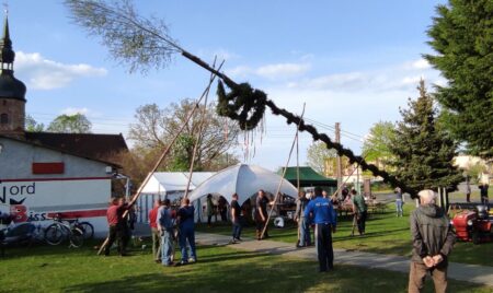 Maibaum