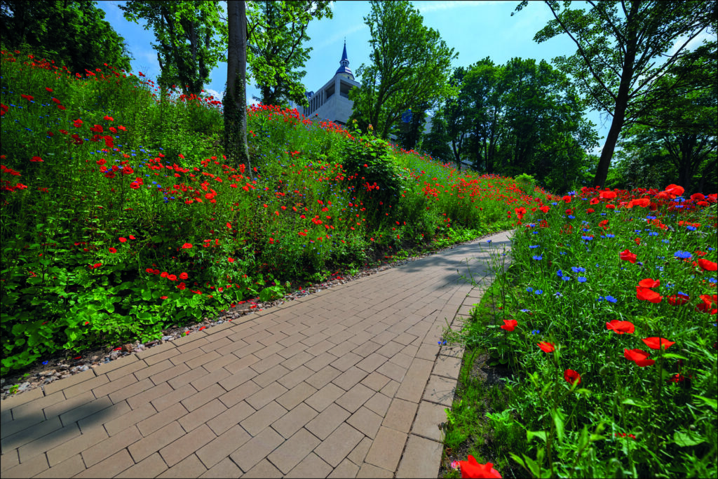 Gartengestaltung ganz natürlich