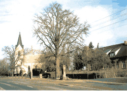 Dorfkirche Guben