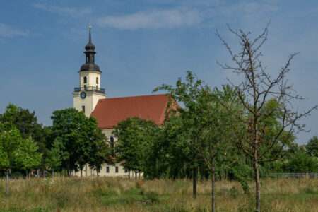 Stadtkirche Forst heute