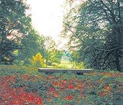 Park Muskau