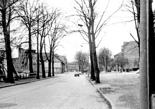 Altes Cottbus: Brandenburger Platz hieß früher Thälmannplatz