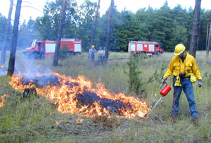 Waldbrand