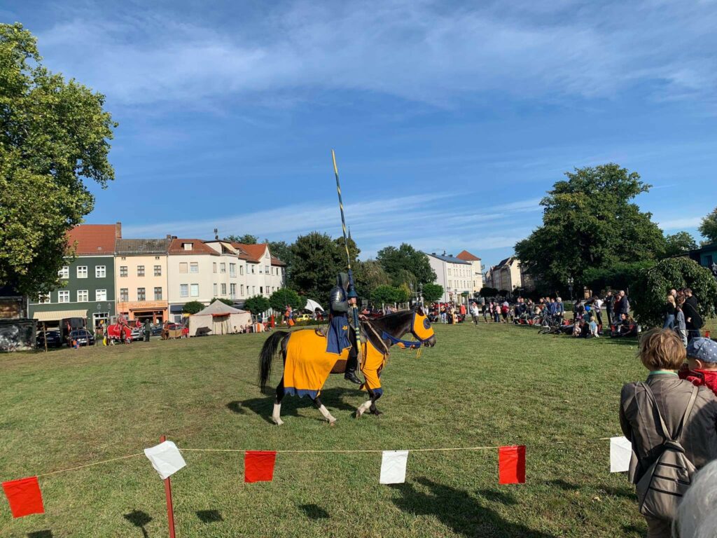 Pferd auf der Festwiese in Guben