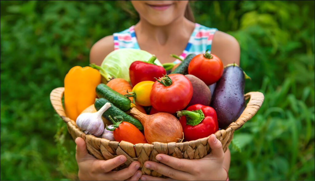 Die richtige Ernährung: Mit einem starken Immunsystem in den Herbst