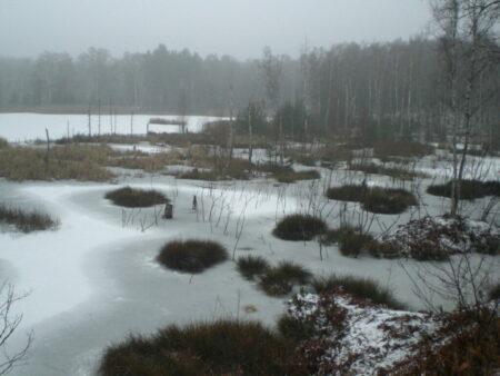 Kranichsee im Winter 