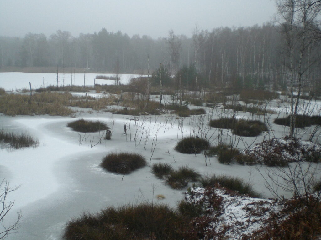 Kranichsee im Winter