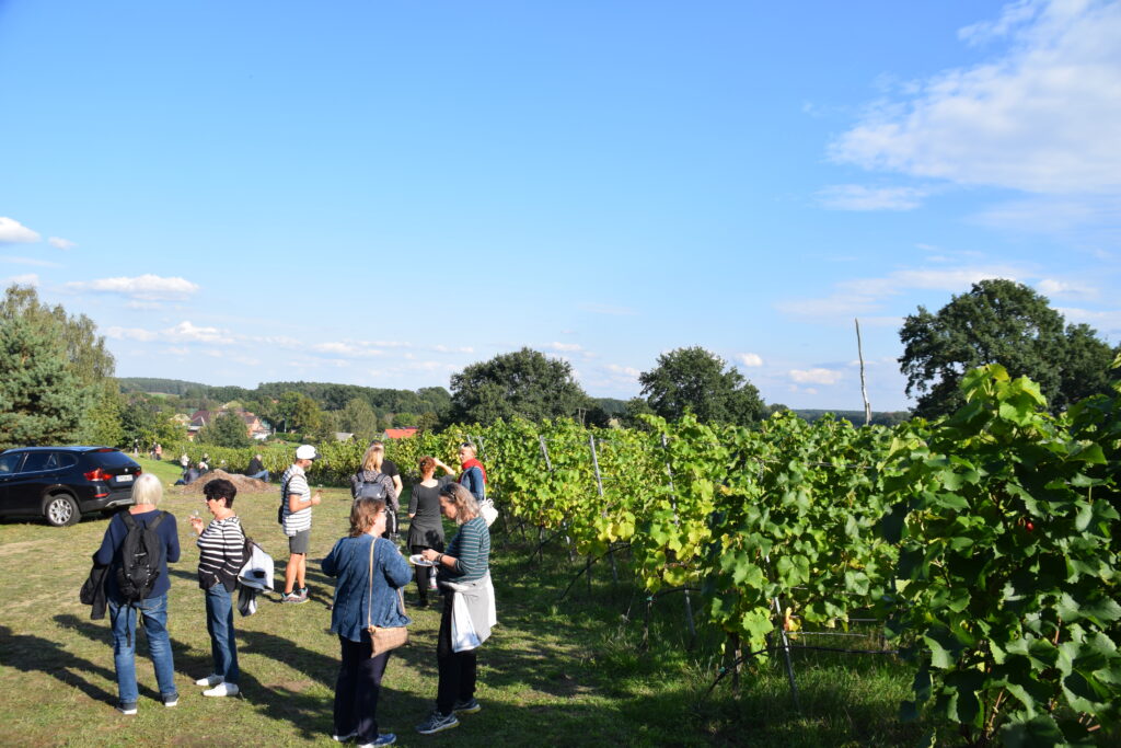 Weinbergfest in Klein Oßnig